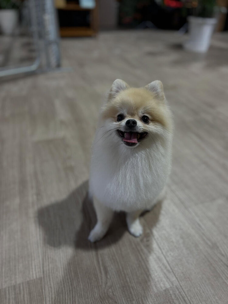 ブログ
