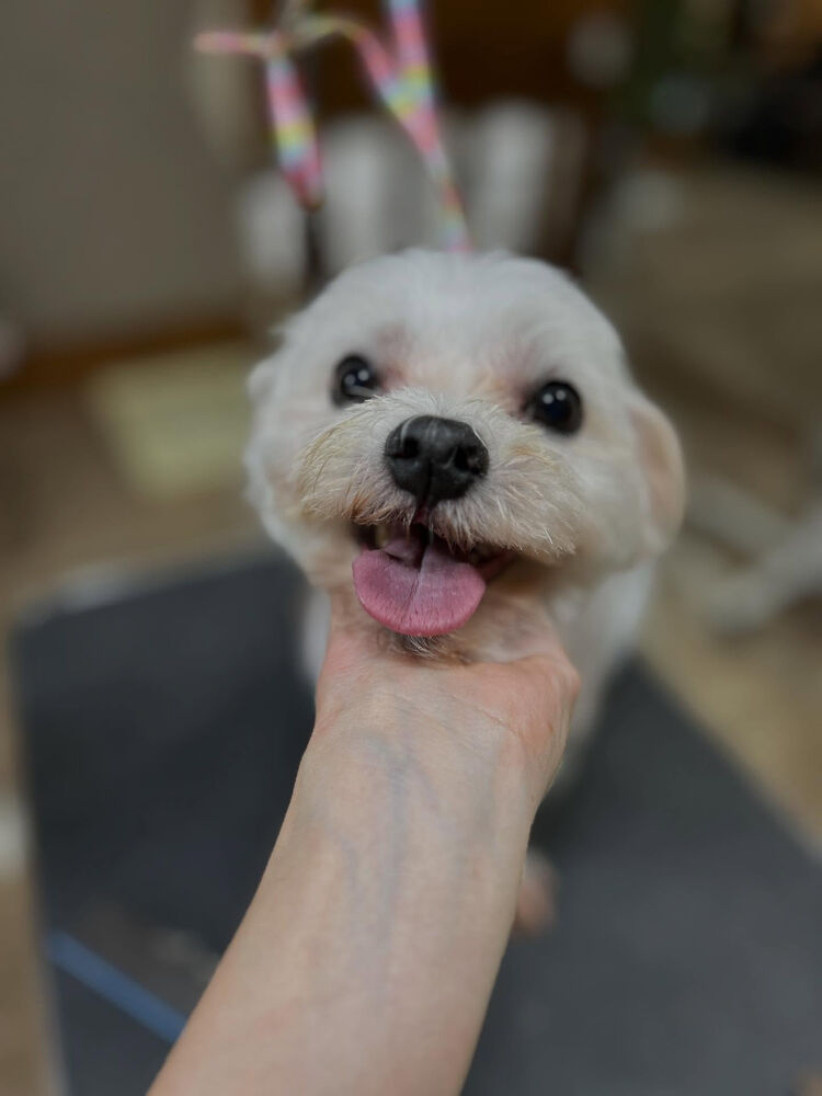 ブログ