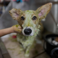 ブログ