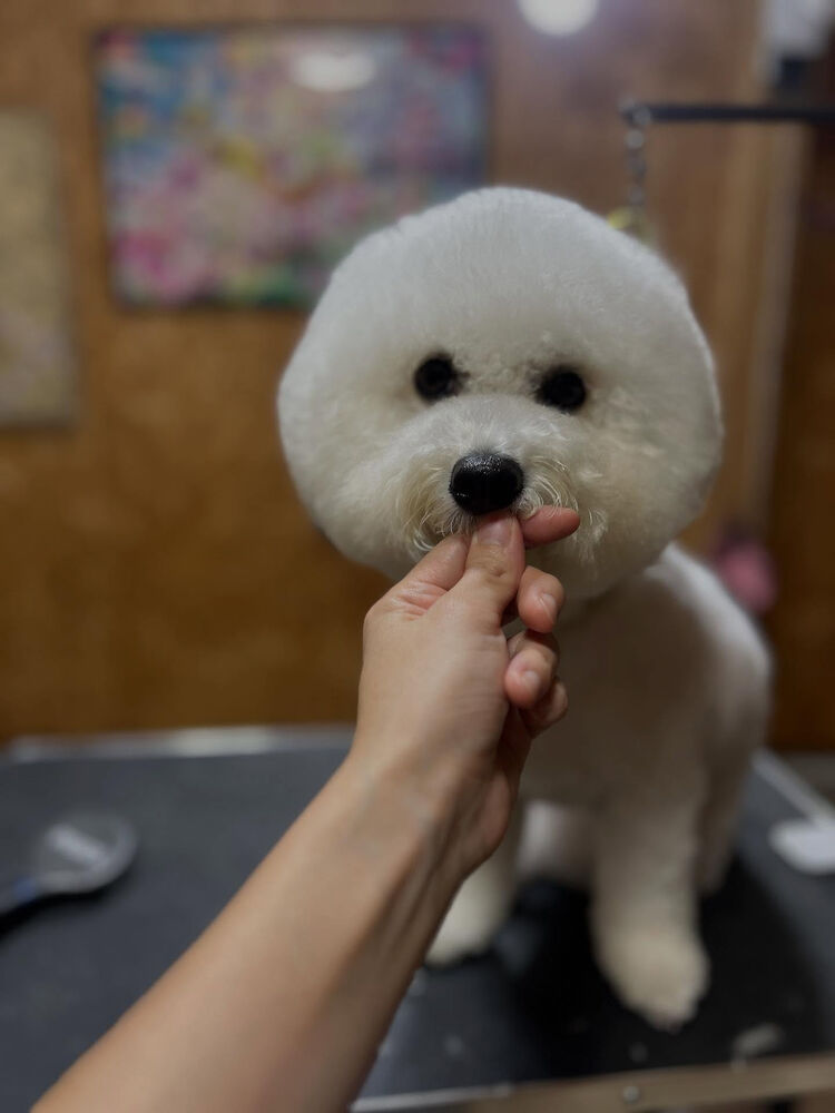 ブログ