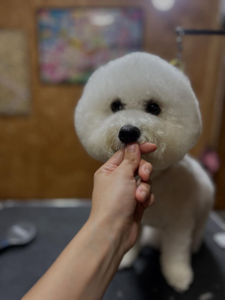 ブログ