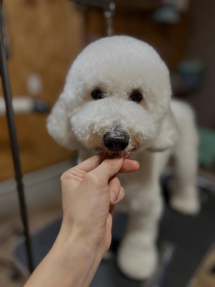 ブログ