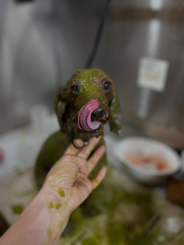 ブログ