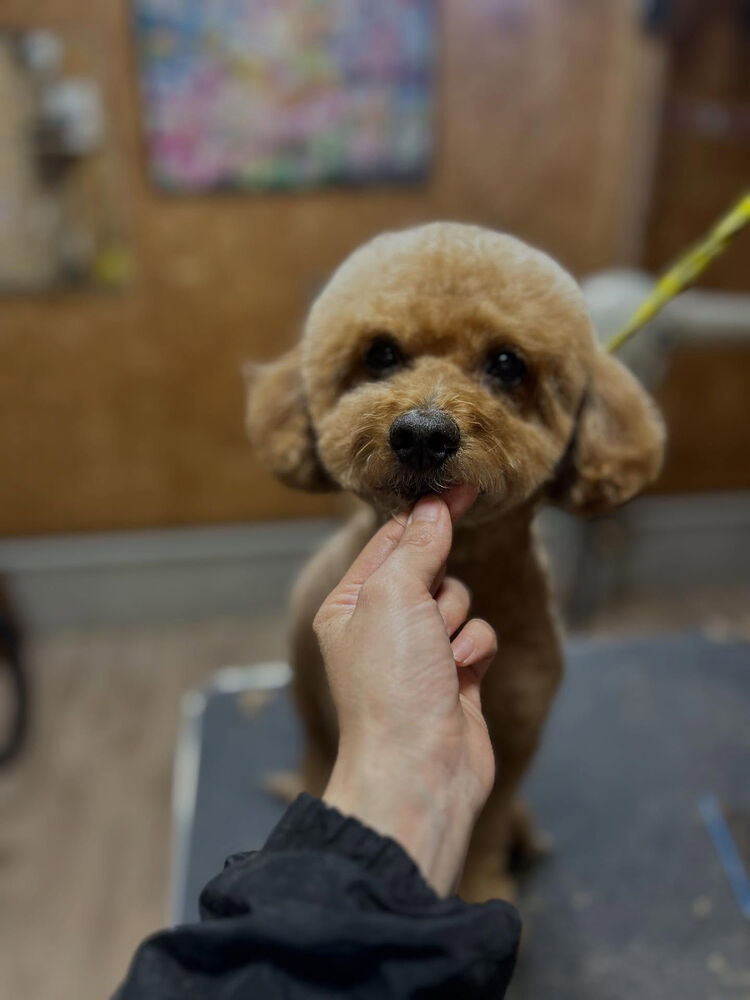 ブログ