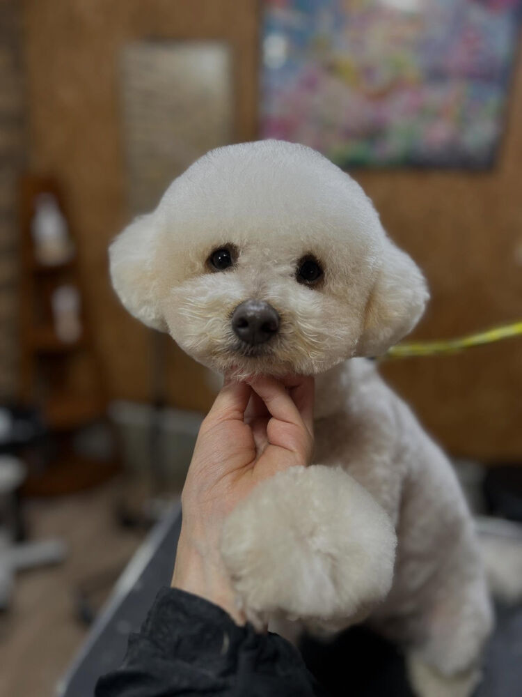 ブログ