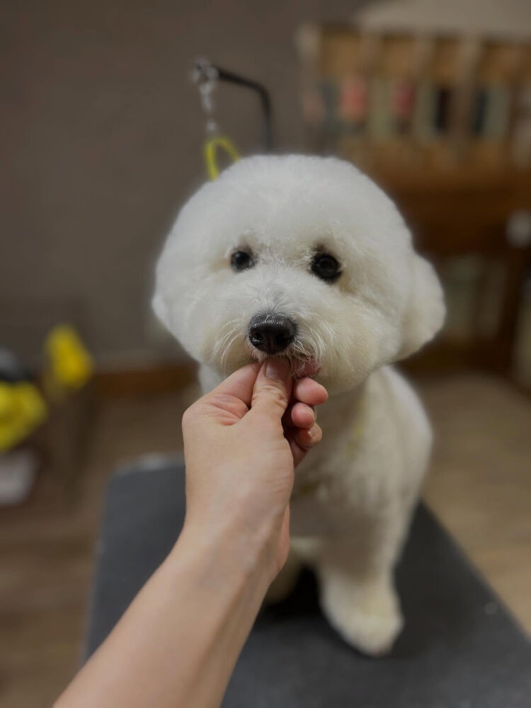 ブログ