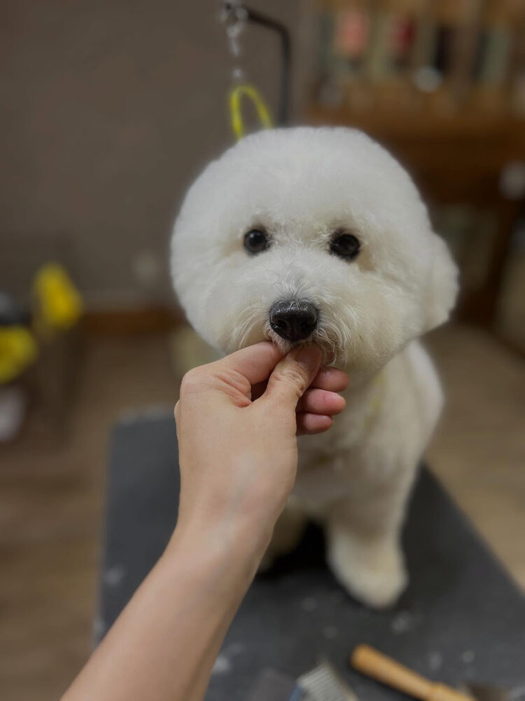 ブログ
