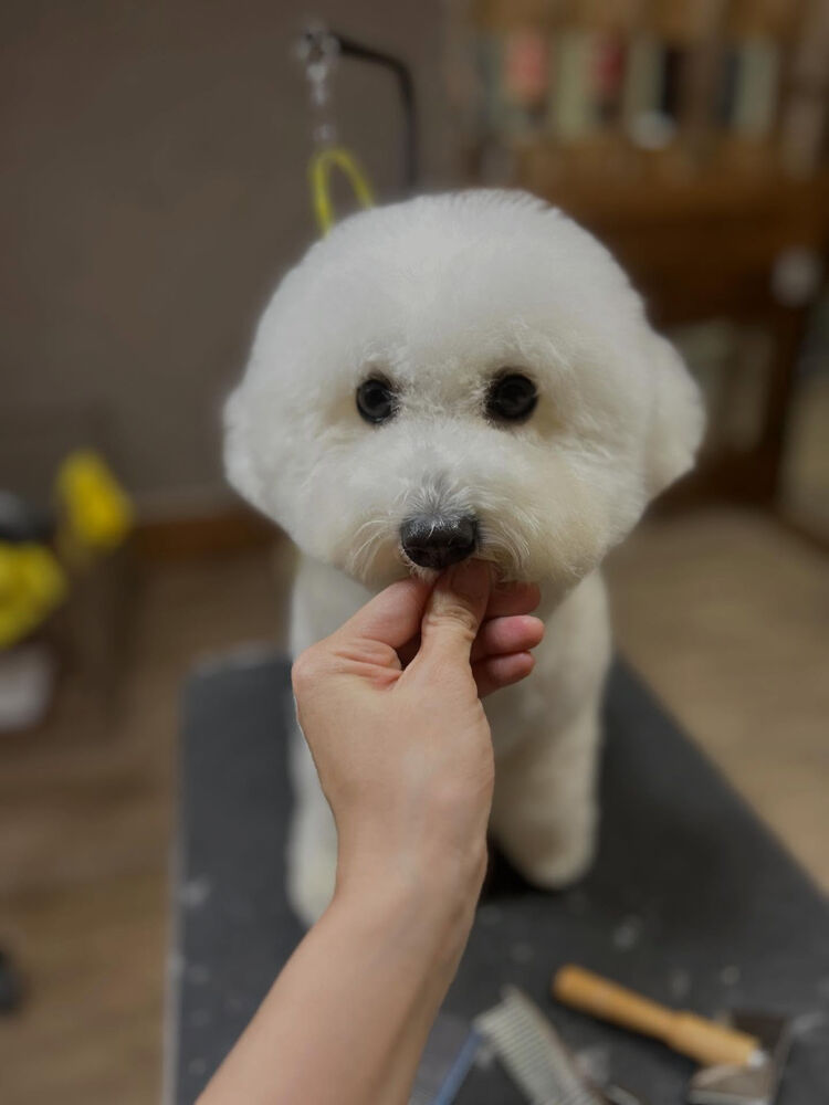 ブログ
