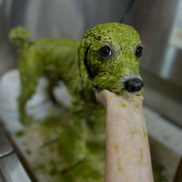ブログ