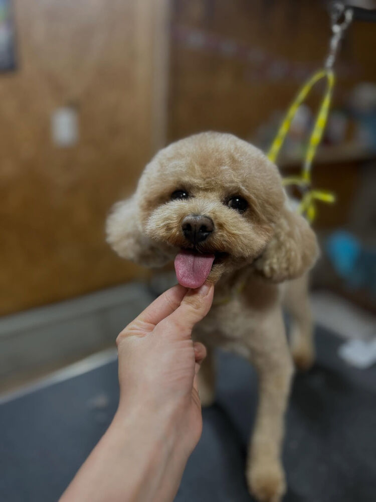 ブログ