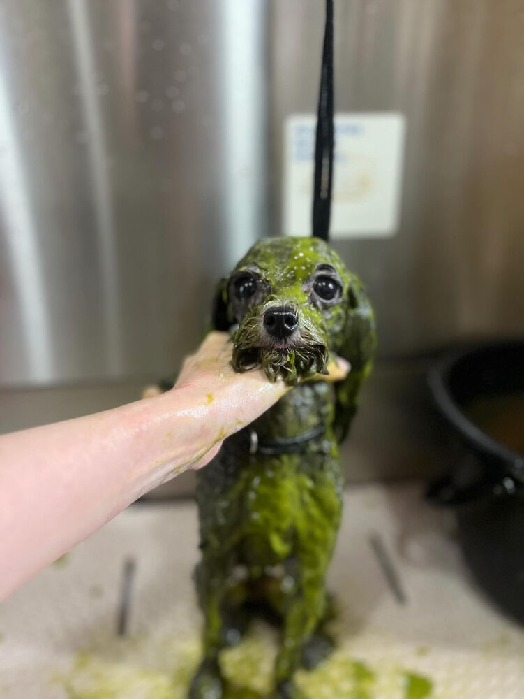 ブログ