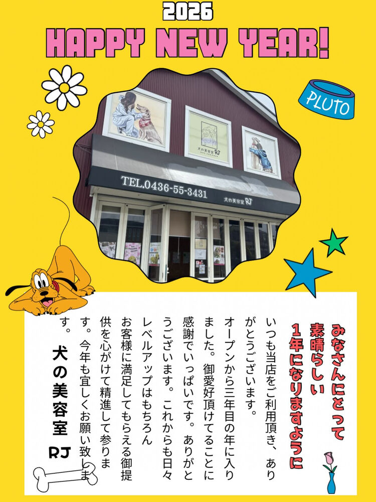 ブログ