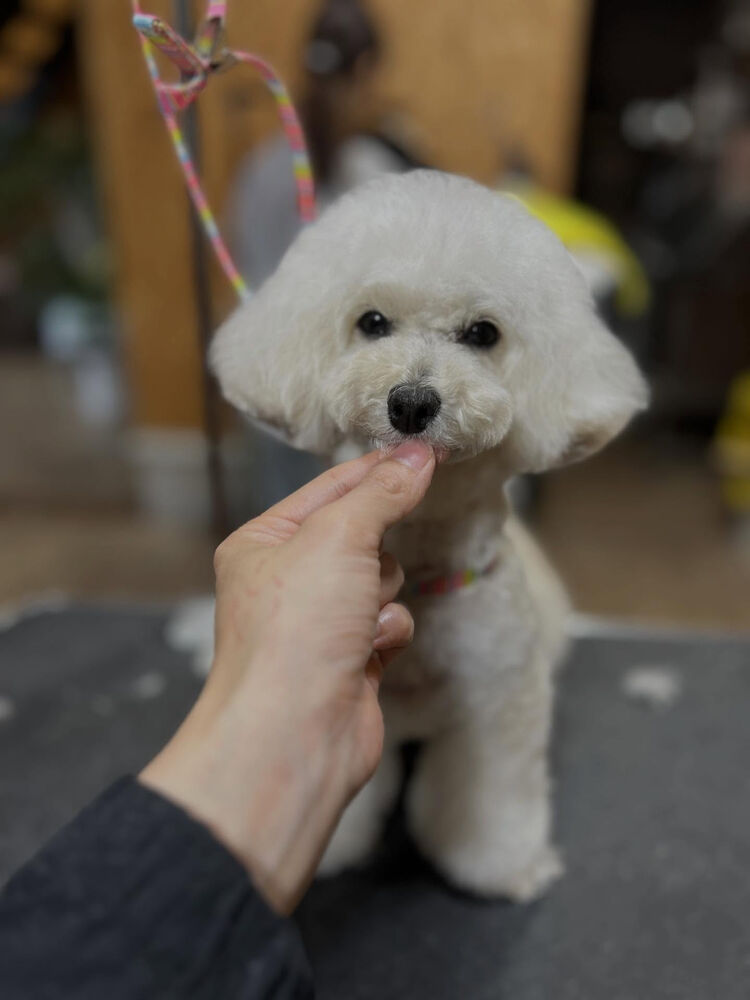 ブログ