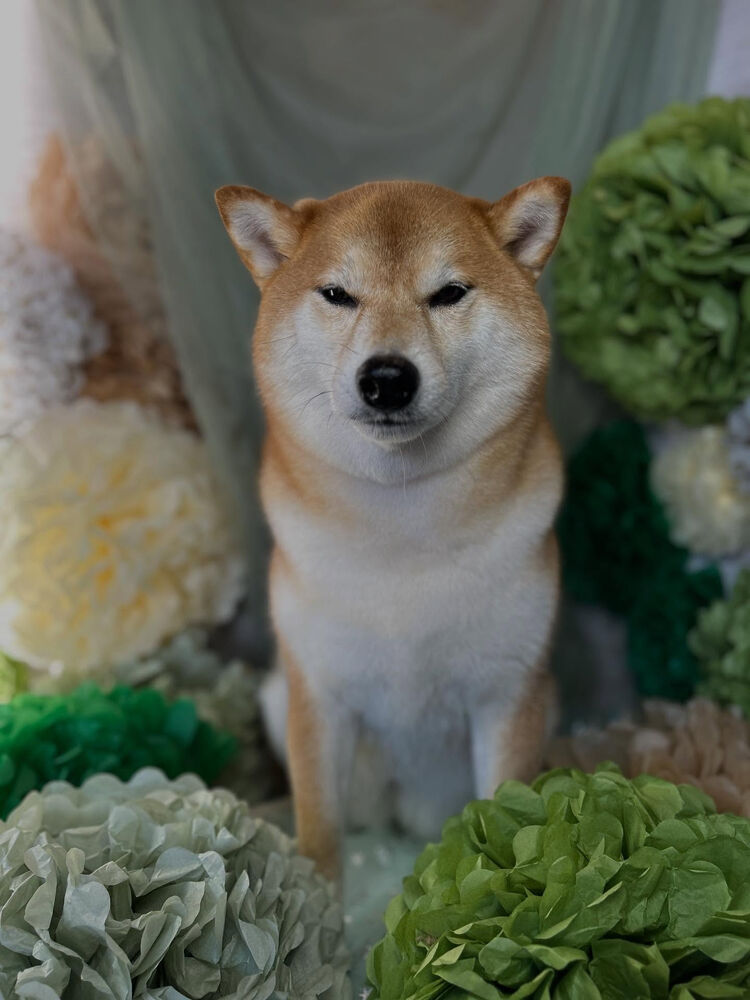 ブログ