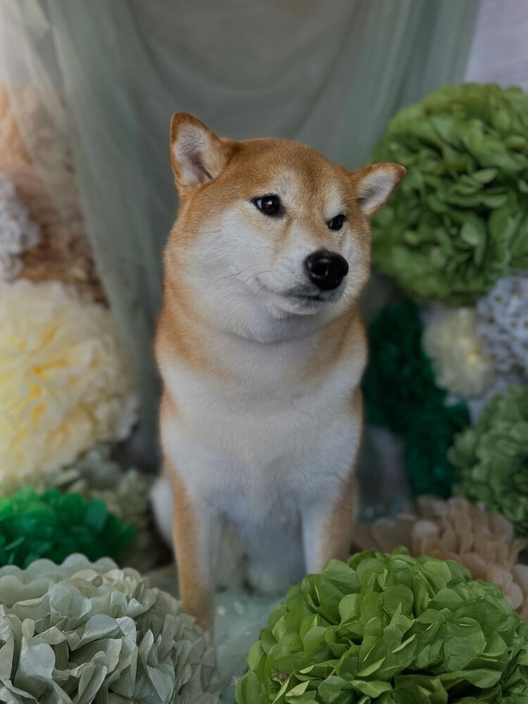 ブログ