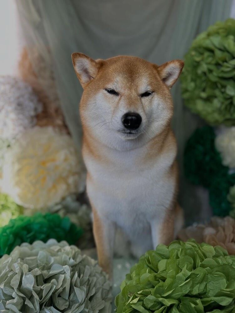 ブログ