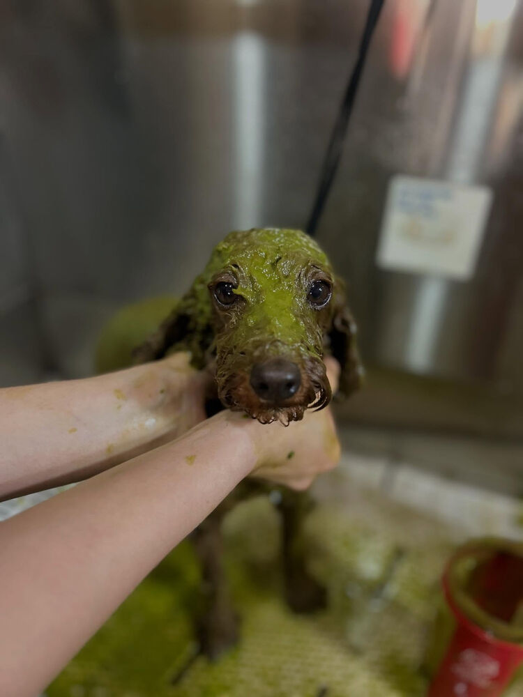 ブログ