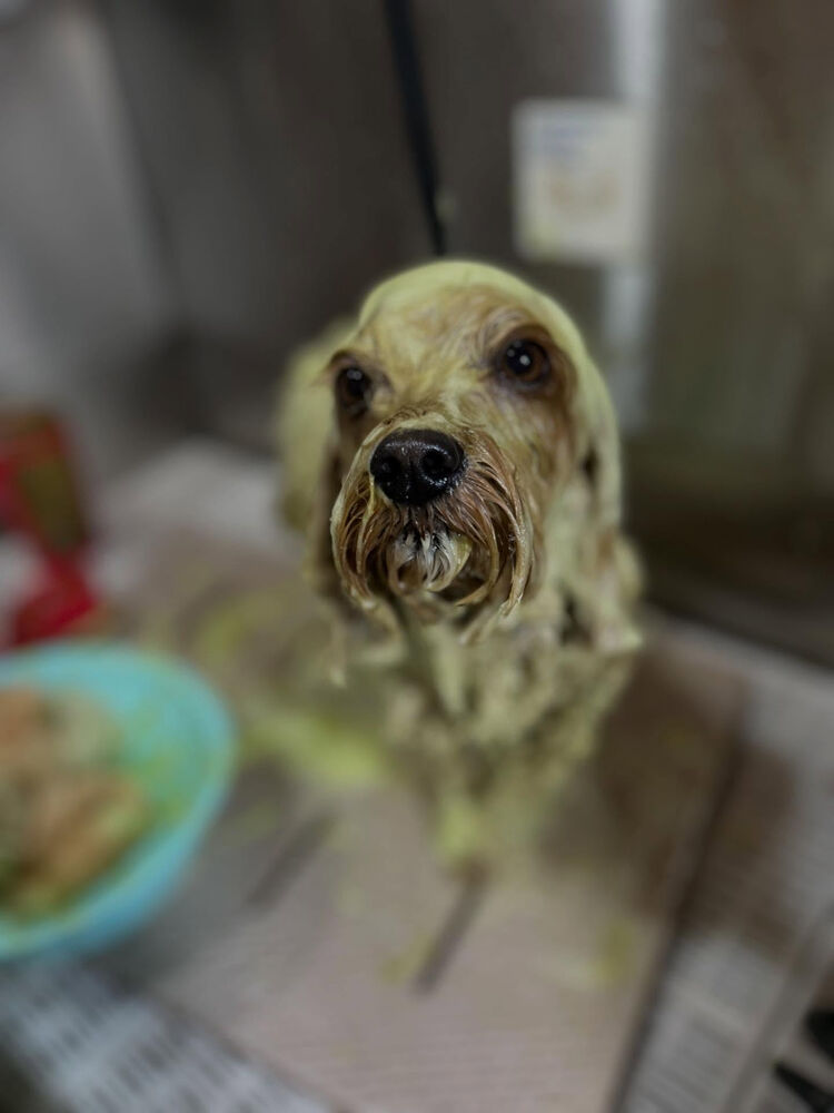 ブログ
