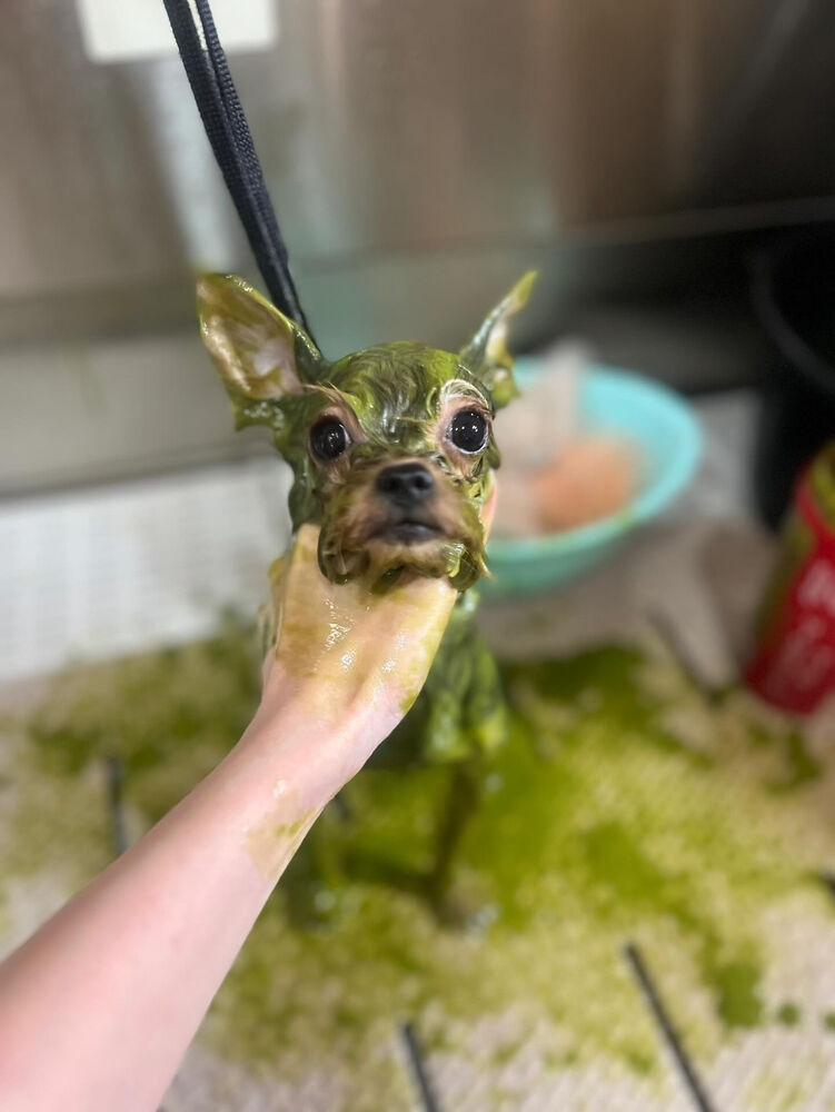 ブログ