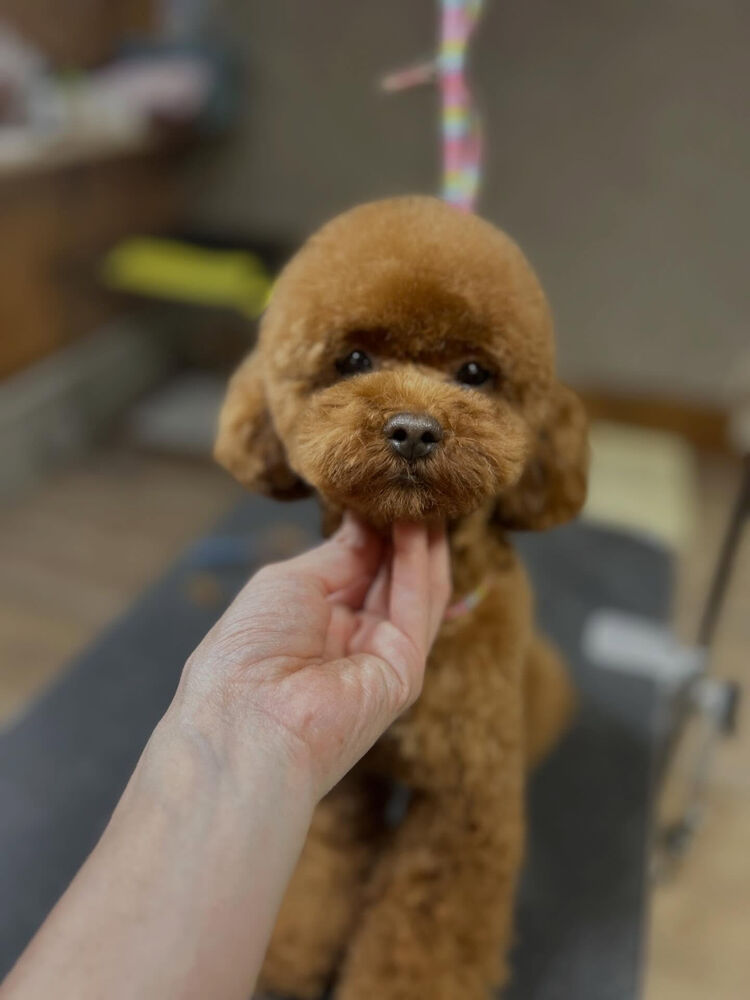 ブログ