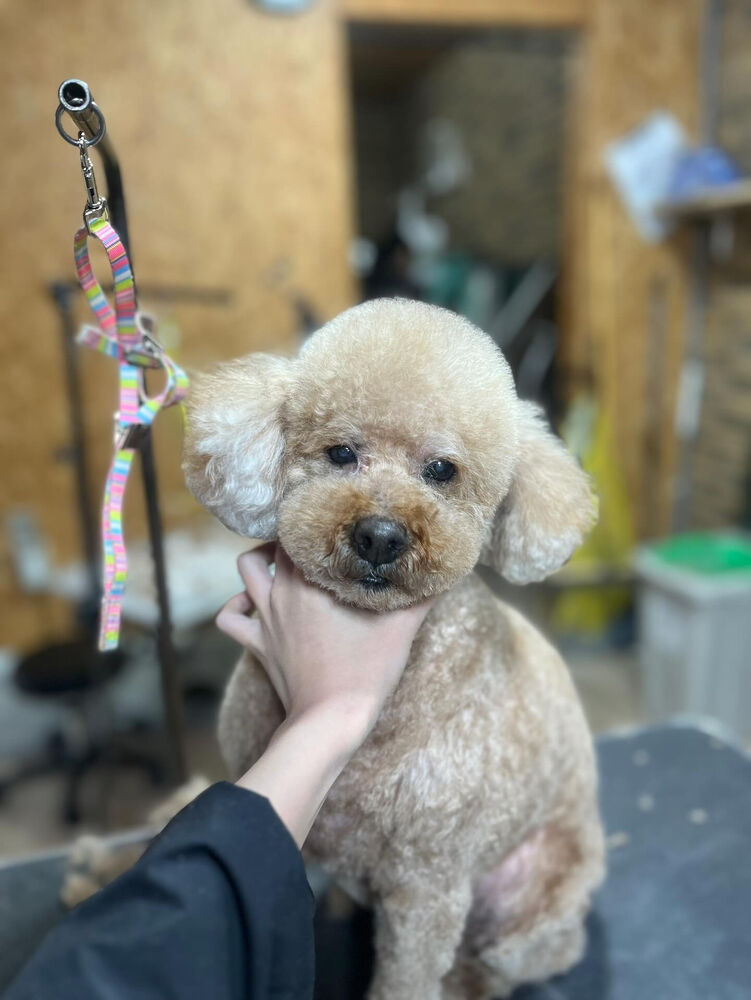 ブログ