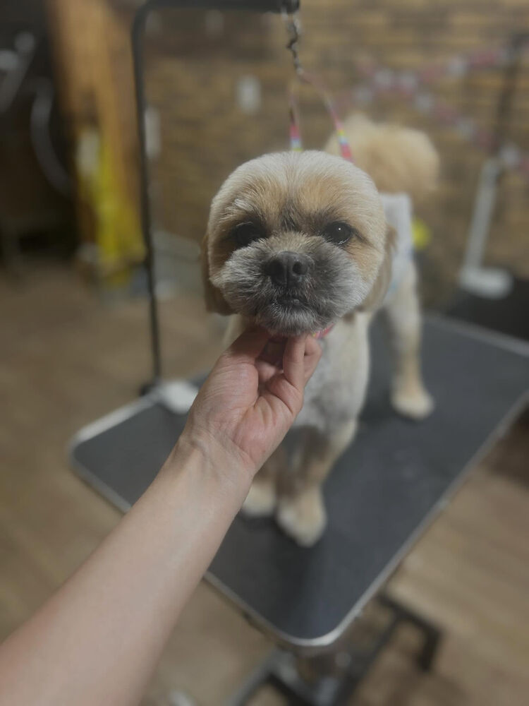 ブログ
