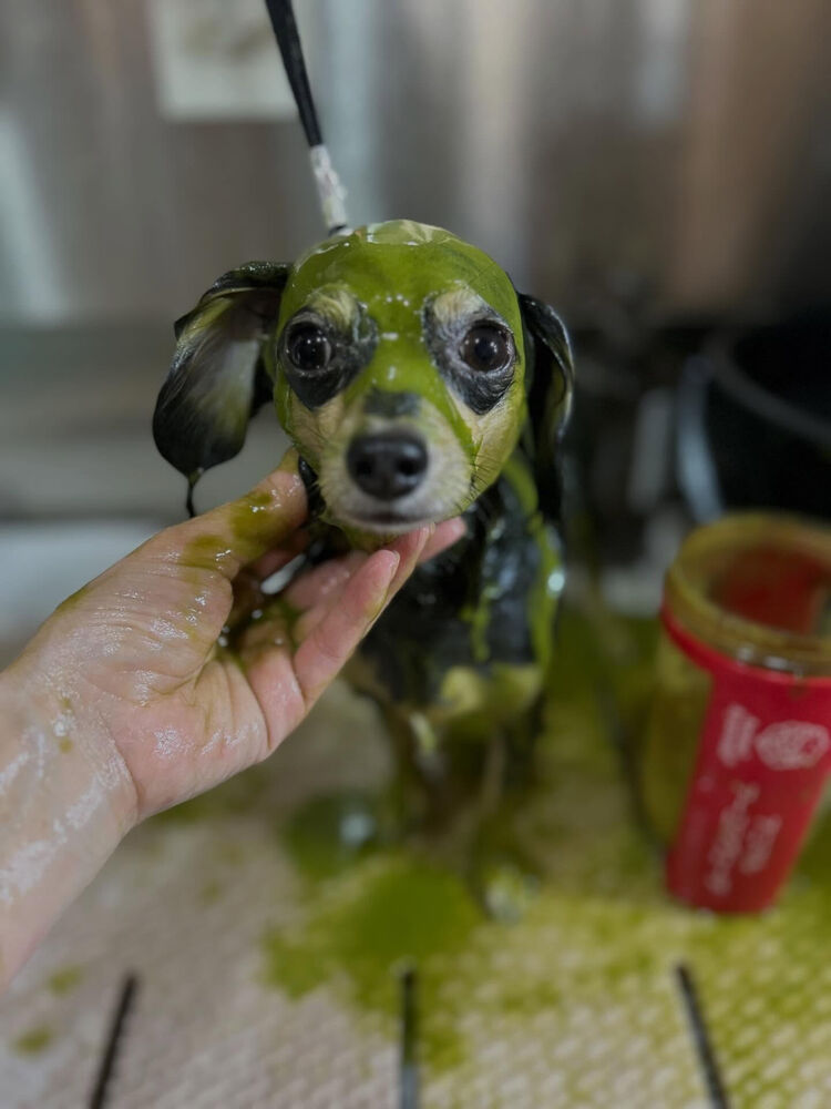 ブログ