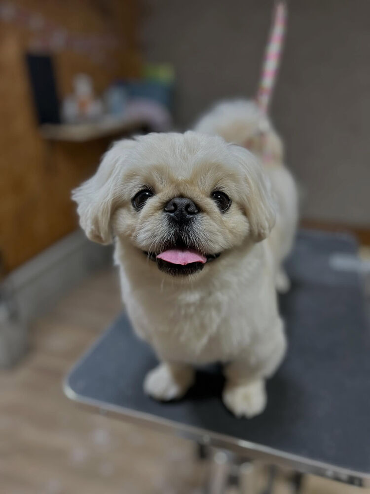 ブログ