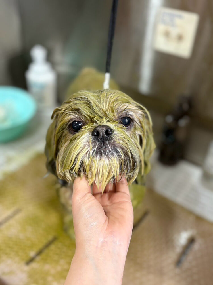 ブログ