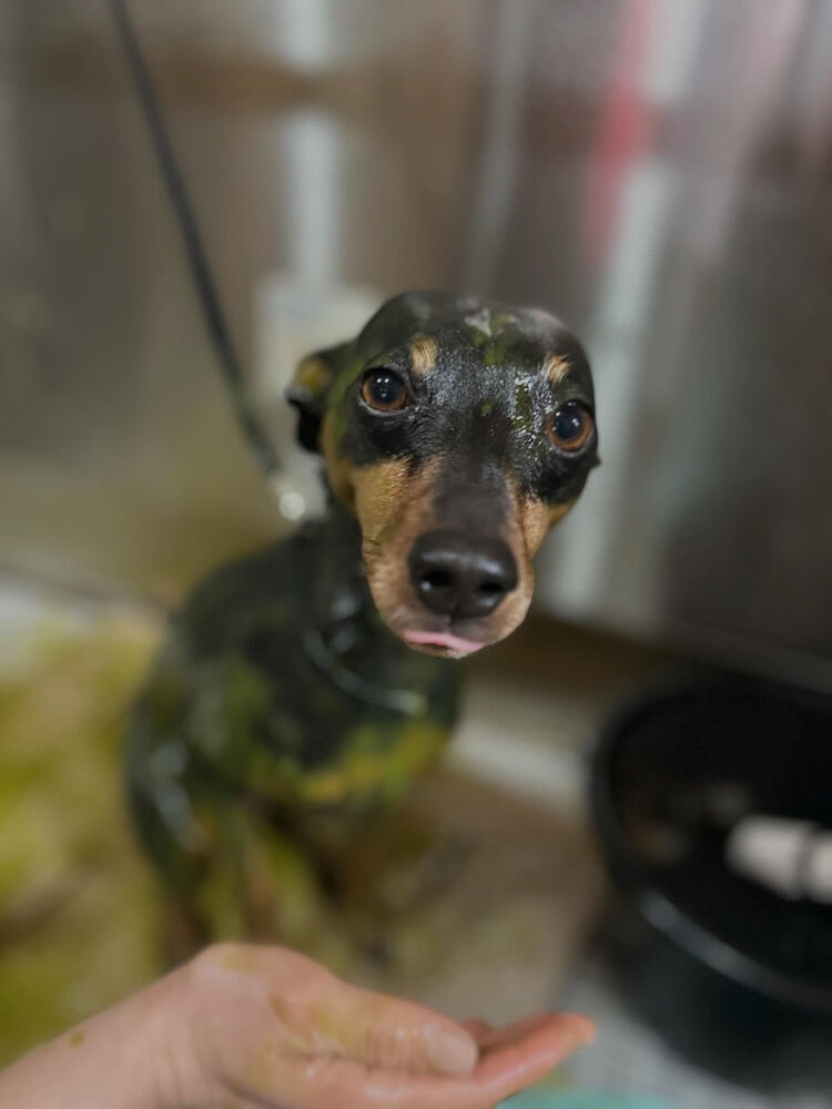 ブログ