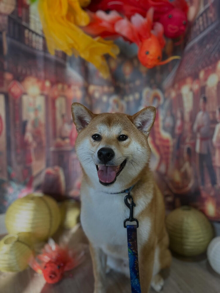 ブログ