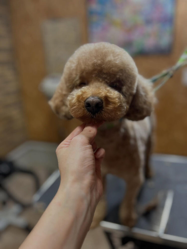 ブログ