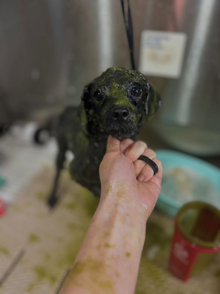 ブログ