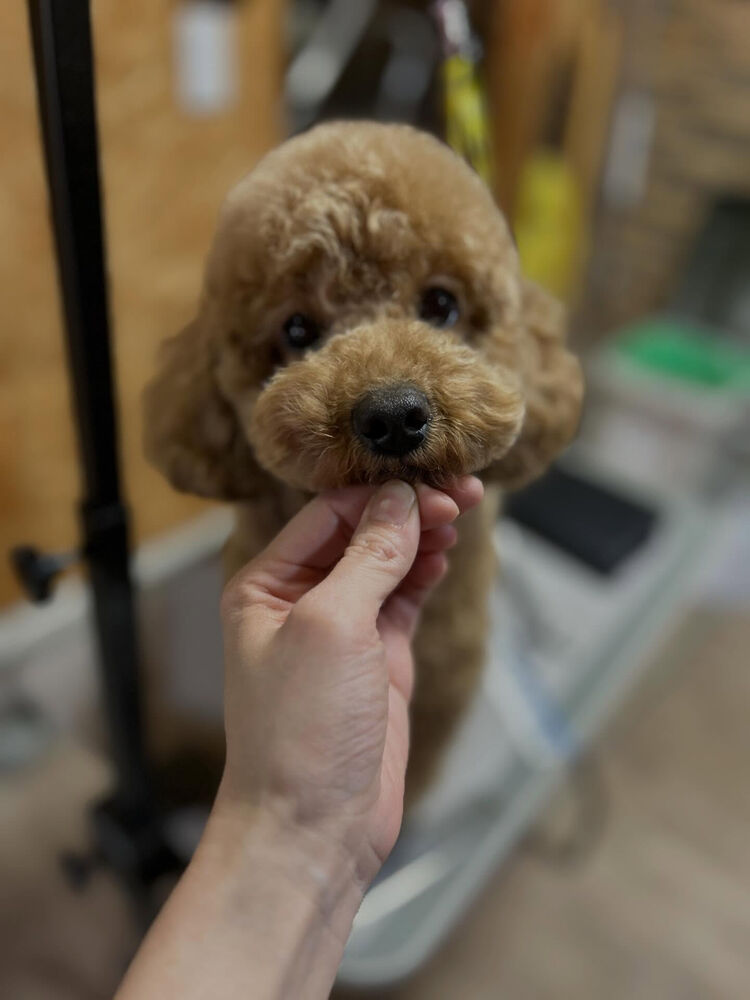 ブログ