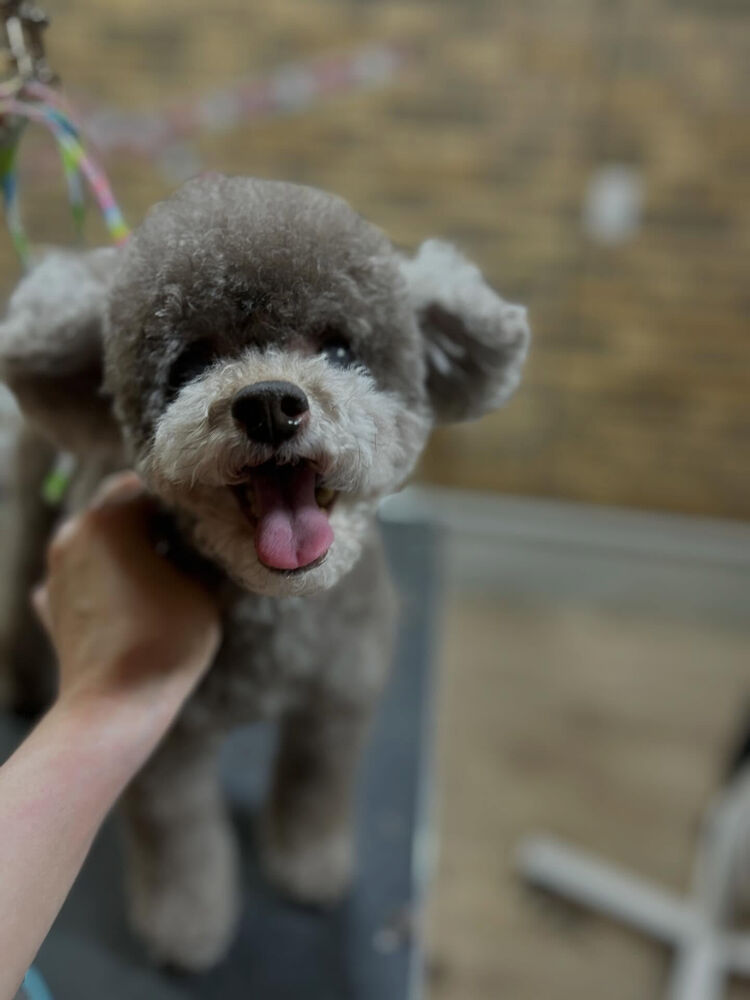 ブログ