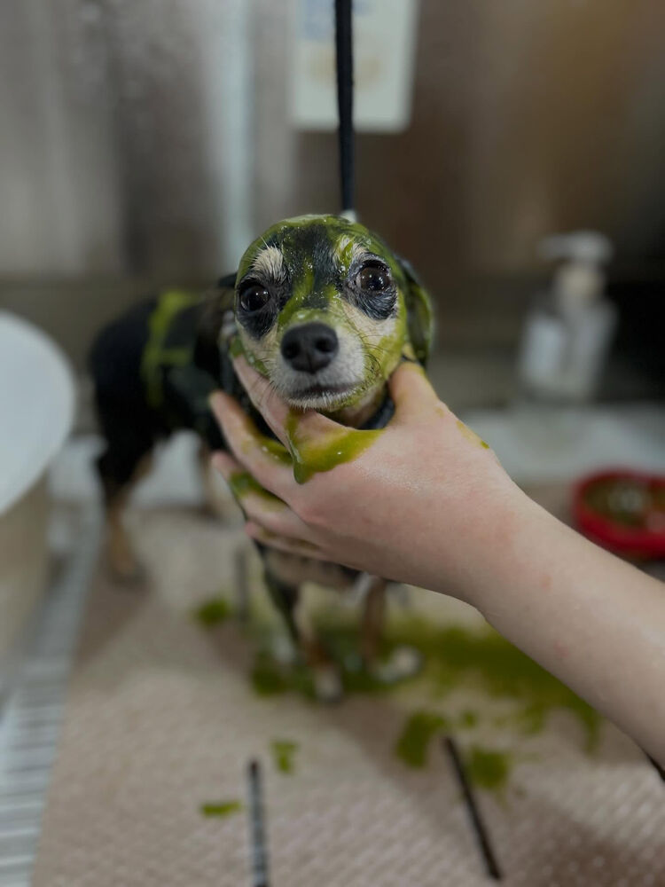 ブログ