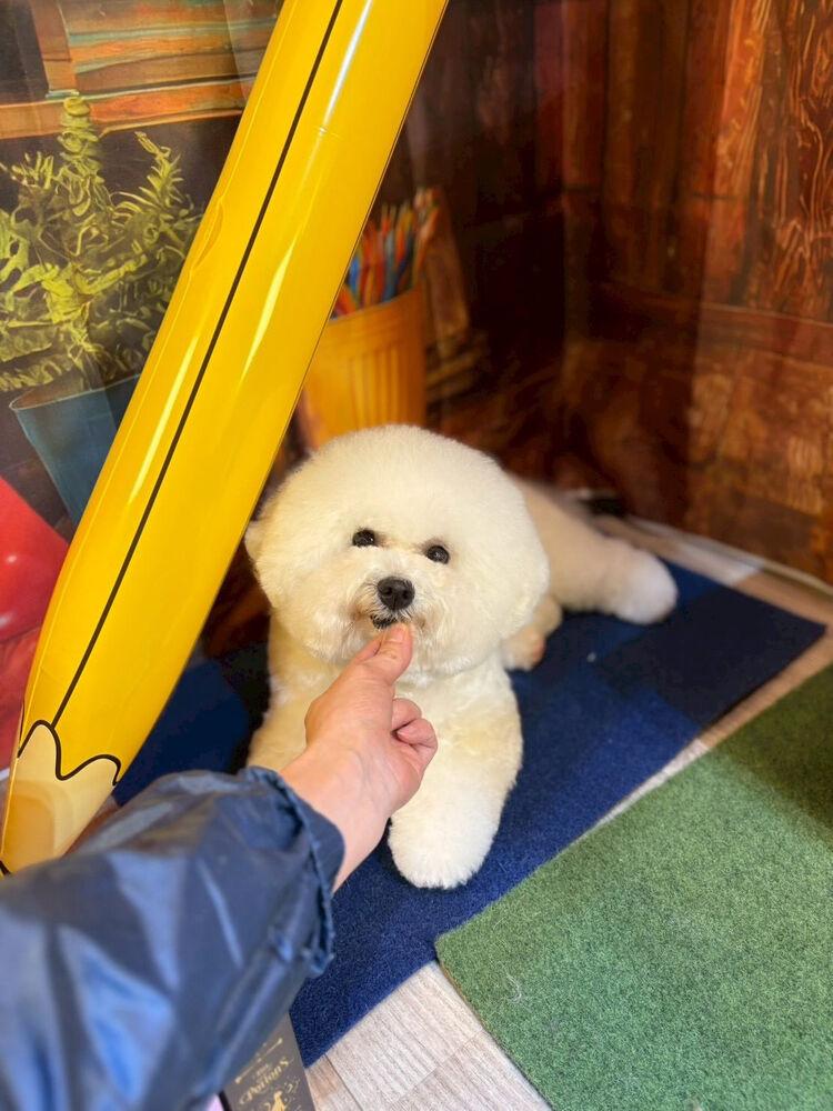 ブログ