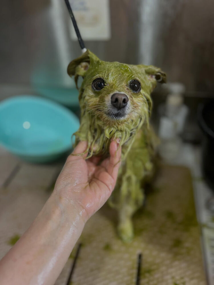 ブログ