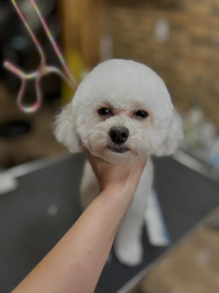ブログ