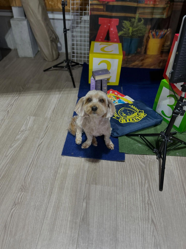 ブログ