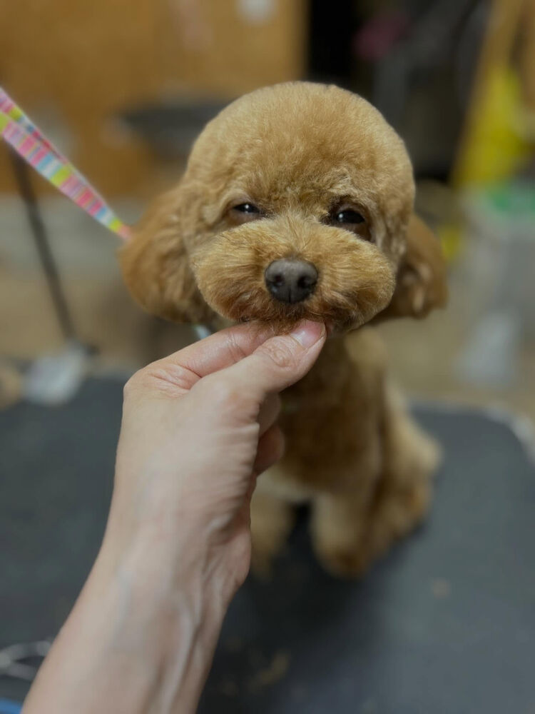ブログ