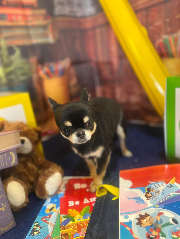ブログ