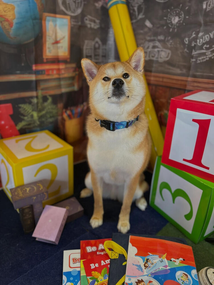 ブログ