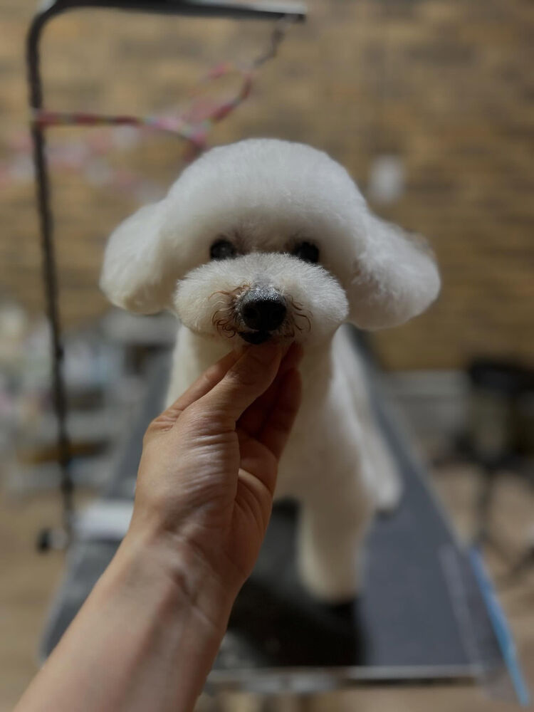ブログ