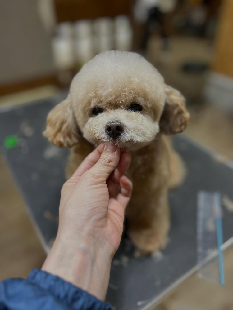 ブログ