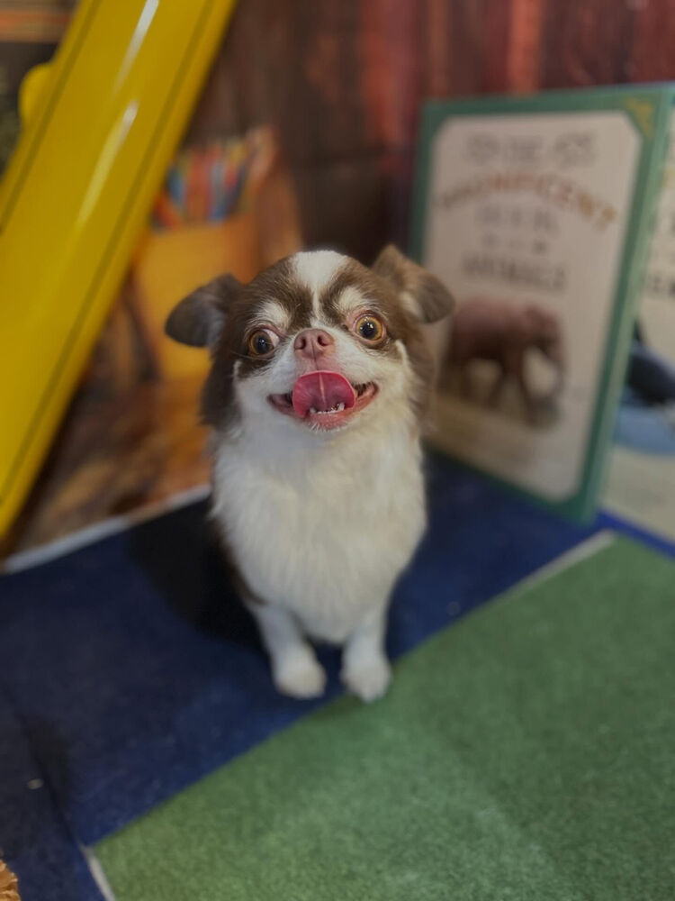ブログ