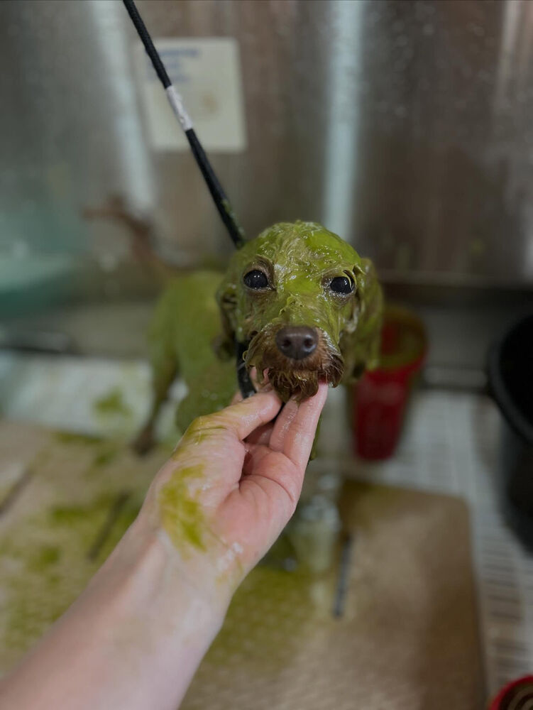 ブログ