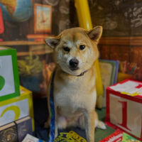ブログ