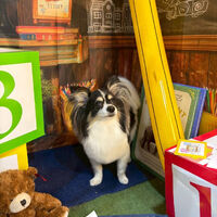 ブログ