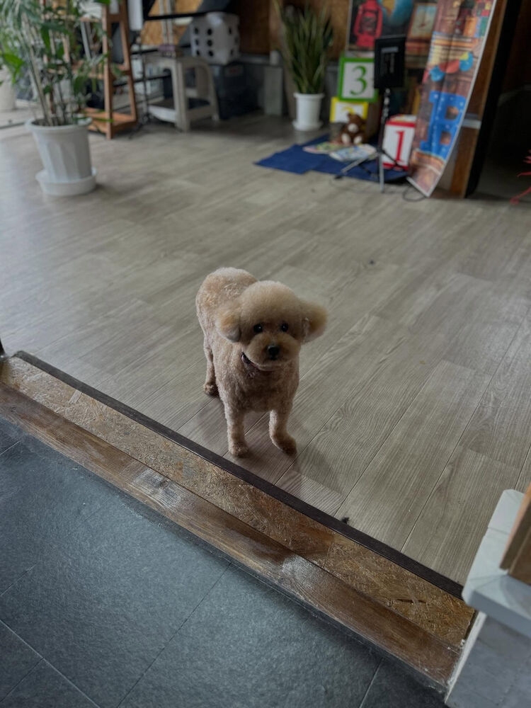 ブログ
